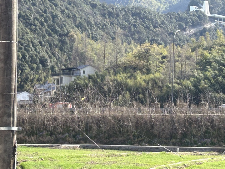 【徒步| 湖州市德清县莫干山】莫干山·葛岭仙境｜徒步原始森林，穿越山脊旅行照片 30