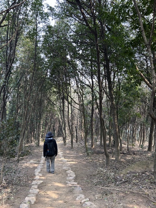 【徒步| 嘉兴高阳山】疾速追山·高阳山｜登嘉兴第一高峰，春赏南北湖旅行照片 5