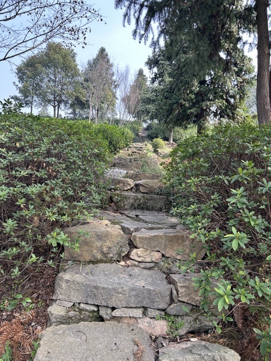 【徒步| 嘉兴高阳山】疾速追山·高阳山｜登嘉兴第一高峰，春赏南北湖旅行照片 13