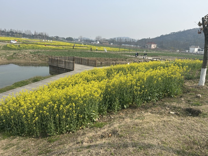 【徒步| 嘉兴高阳山】疾速追山·高阳山｜登嘉兴第一高峰，春赏南北湖旅行照片 14