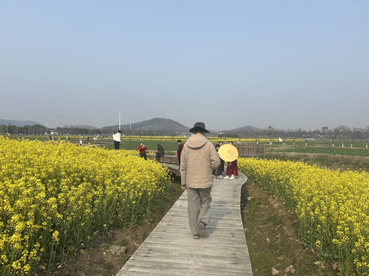 【徒步| 嘉兴高阳山】疾速追山·高阳山｜登嘉兴第一高峰，春赏南北湖旅行照片 16