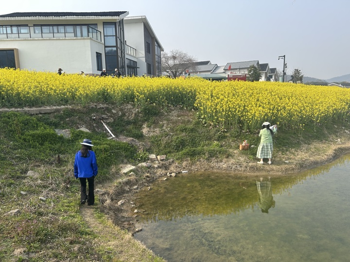 【徒步| 嘉兴高阳山】疾速追山·高阳山｜登嘉兴第一高峰，春赏南北湖旅行照片 17