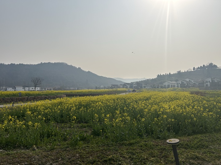 【徒步| 嘉兴高阳山】疾速追山·高阳山｜登嘉兴第一高峰，春赏南北湖旅行照片 20