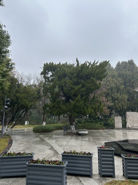 嘉兴市与乌镇旅行旅行照片 2