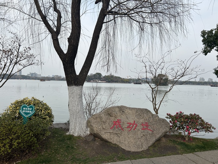 嘉兴市与乌镇旅行旅行照片 28