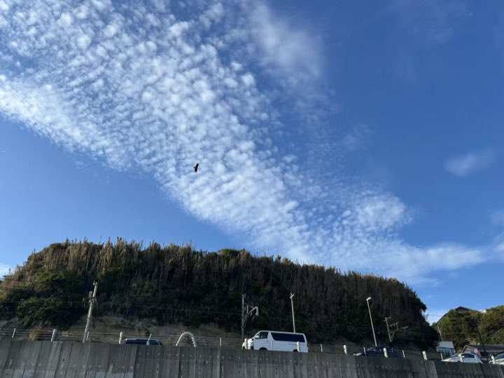 镰仓旅行照片 23