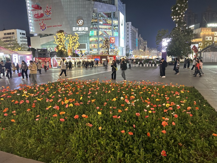 昆明返程旅行照片 9
