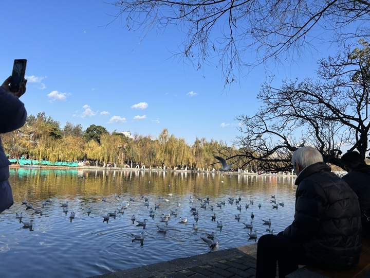 昆明旅行旅行照片 5