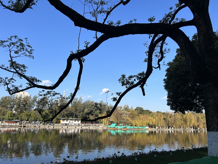 昆明旅行旅行照片 6