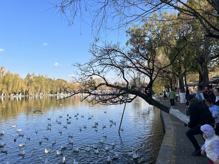 昆明旅行旅行照片 7