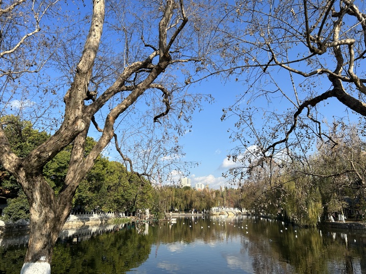 昆明旅行旅行照片 14