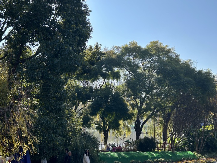 昆明旅行旅行照片 17