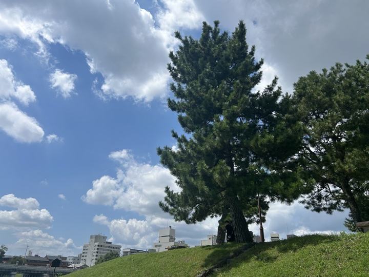 京都旅行旅行照片 8