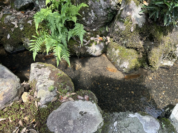 京都·金阁寺、鸭川、神社图书展、京都大学与盂兰节旅行照片 15