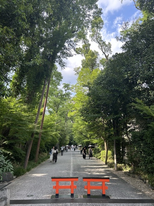 京都·金阁寺、鸭川、神社图书展、京都大学与盂兰节旅行照片 21