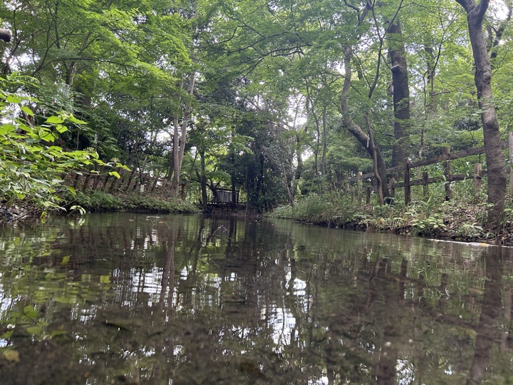 京都·金阁寺、鸭川、神社图书展、京都大学与盂兰节旅行照片 22