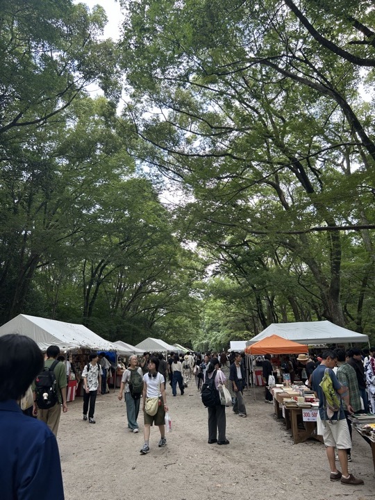 京都·金阁寺、鸭川、神社图书展、京都大学与盂兰节旅行照片 23