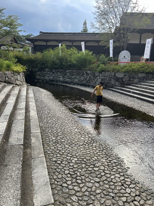 京都·金阁寺、鸭川、神社图书展、京都大学与盂兰节旅行照片 27