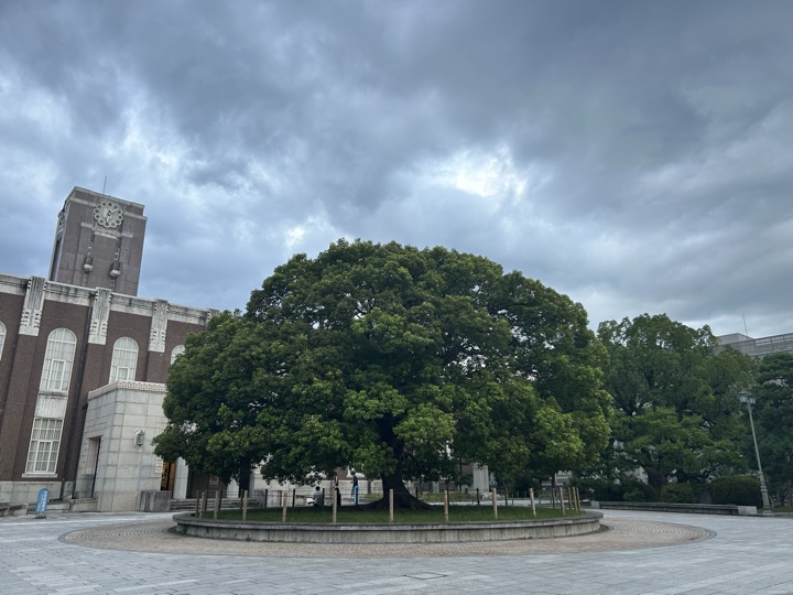 京都·金阁寺、鸭川、神社图书展、京都大学与盂兰节旅行照片 29