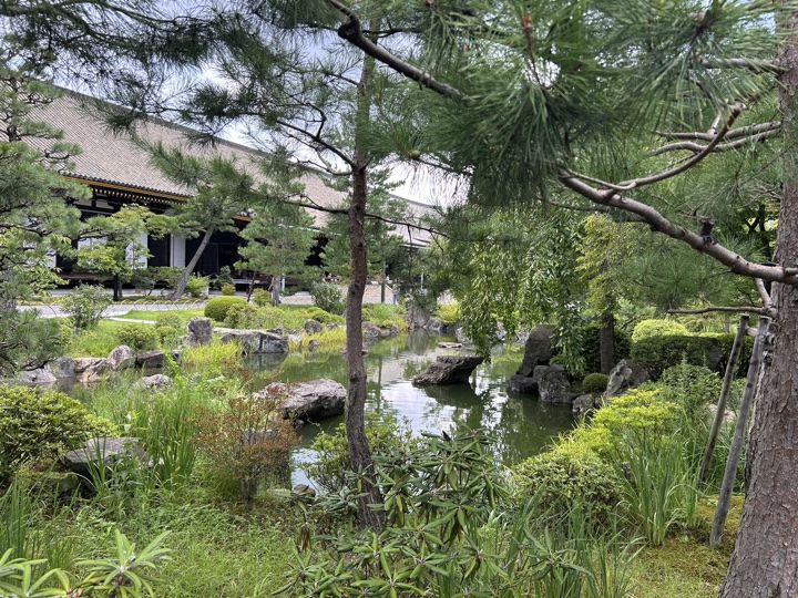 京都·京都国立博物馆与烟火大会旅行照片 10