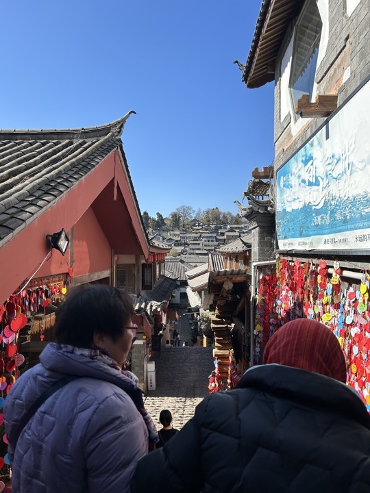 丽江旅行旅行照片 5