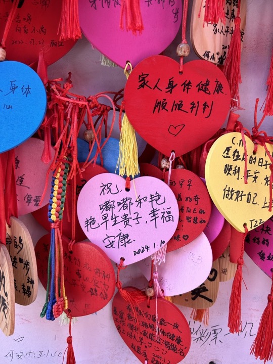 丽江旅行旅行照片 11