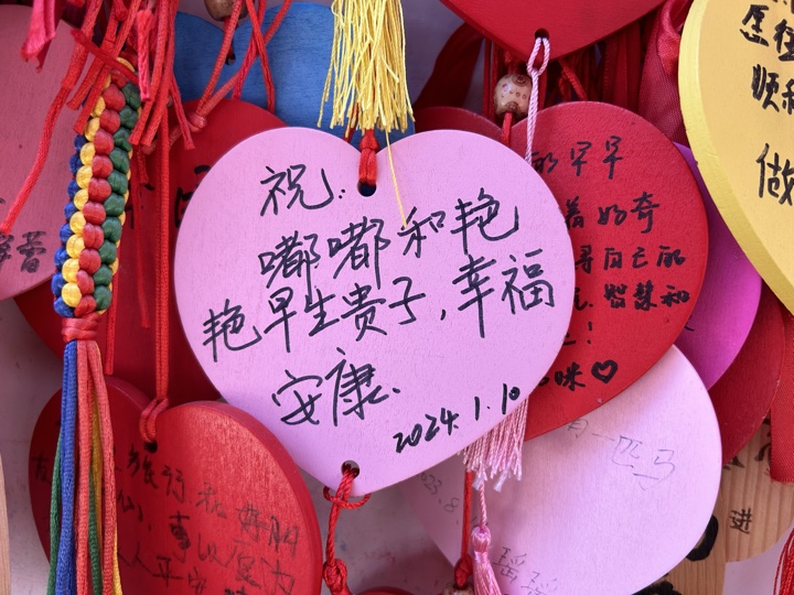 丽江旅行旅行照片 12