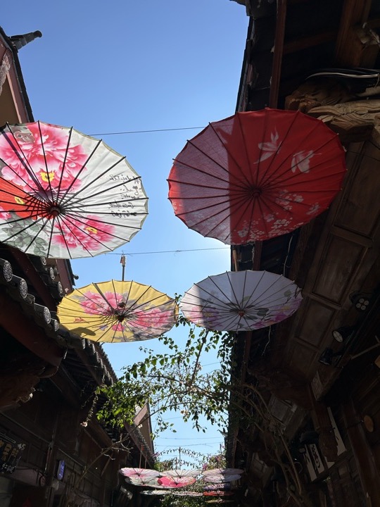 丽江旅行旅行照片 13
