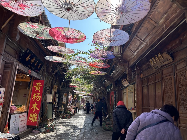 丽江旅行旅行照片 14