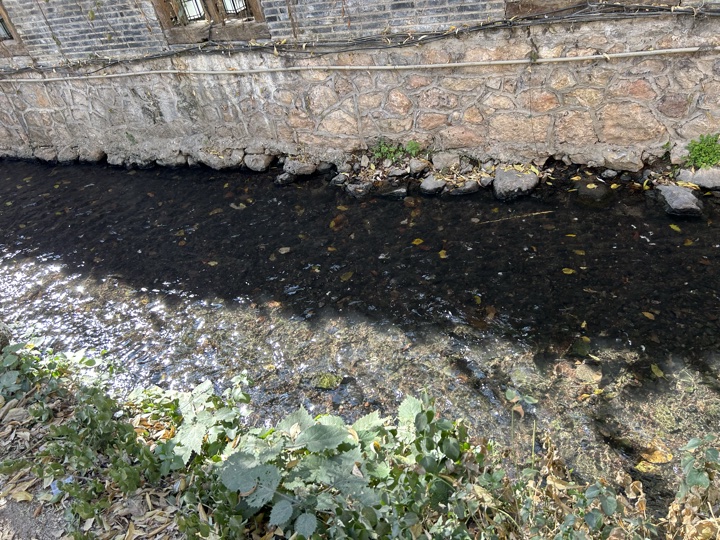 丽江旅行旅行照片 16