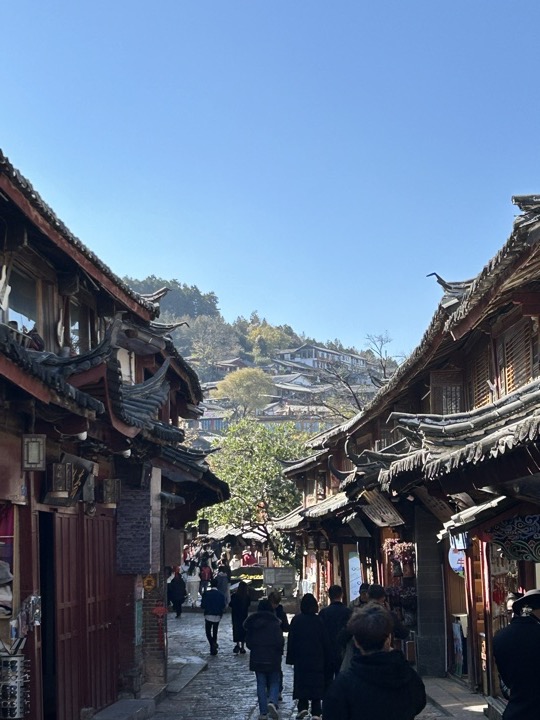 丽江旅行旅行照片 17