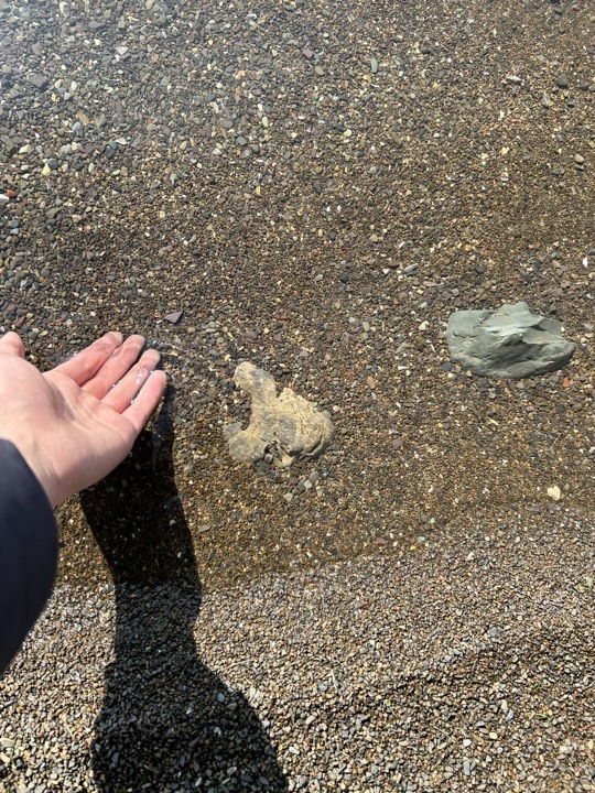 泸沽湖旅行旅行照片 11
