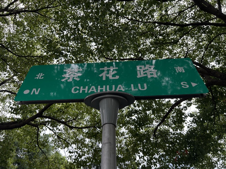 南京旅行旅行照片 14