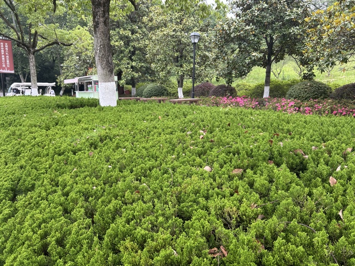 南京旅行旅行照片 18