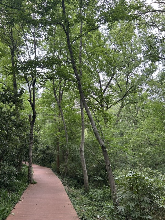南京旅行旅行照片 20