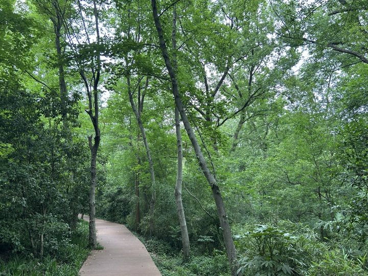 南京旅行旅行照片 21