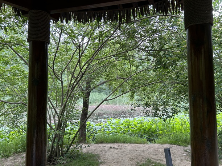 南京旅行旅行照片 22