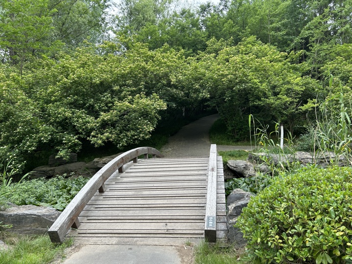 南京旅行旅行照片 26