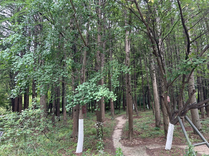 南京旅行旅行照片 27