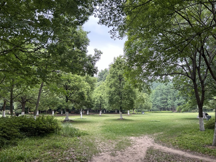 南京旅行旅行照片 29