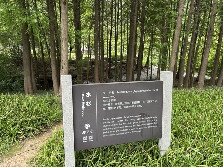 南京旅行旅行照片 31