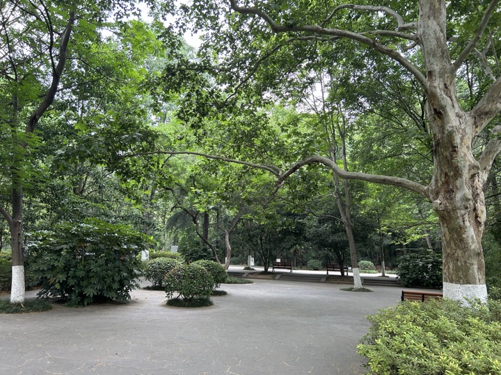 南京旅行旅行照片 32