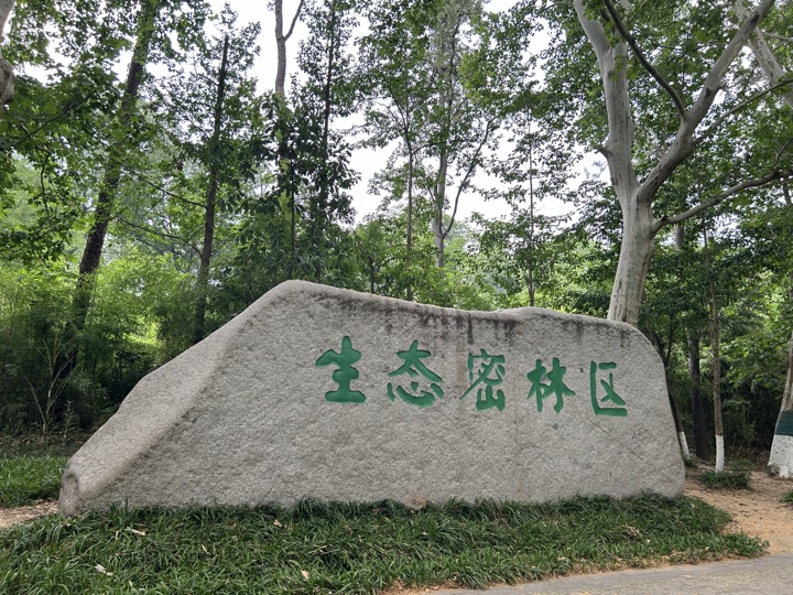 南京旅行旅行照片 33