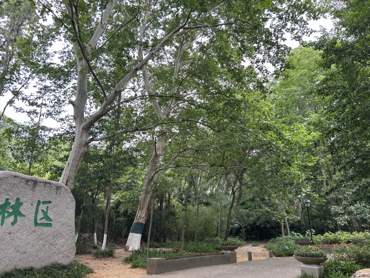 南京旅行旅行照片 34