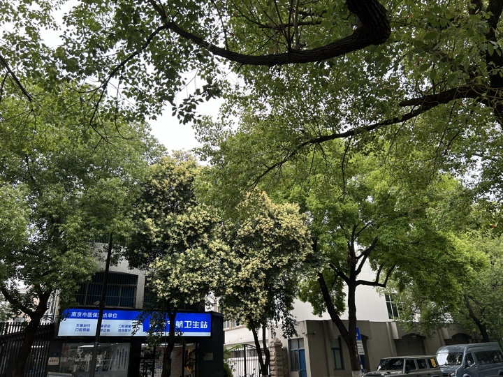 南京旅行旅行照片 42
