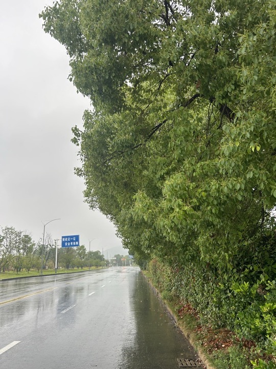 南京旅行旅行照片 64