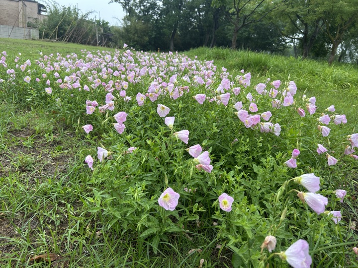 南京旅行旅行照片 65