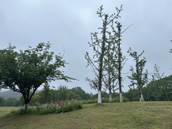 南京旅行旅行照片 67