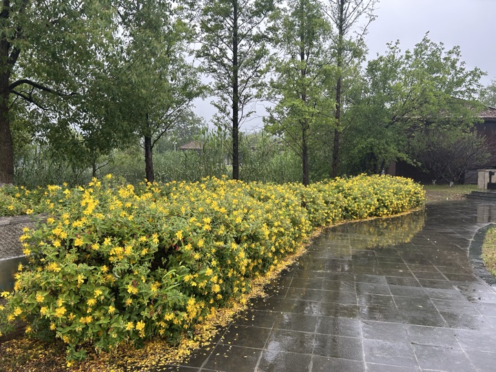 南京旅行旅行照片 69