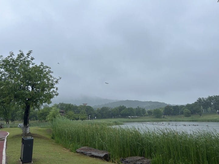 南京旅行旅行照片 73